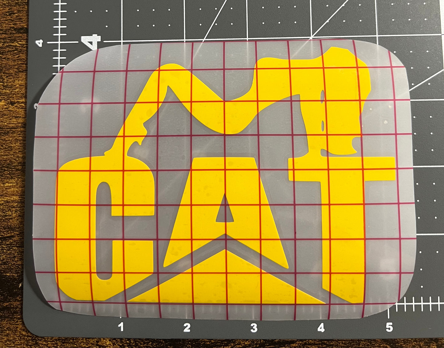 Cat- Woman Laying Back