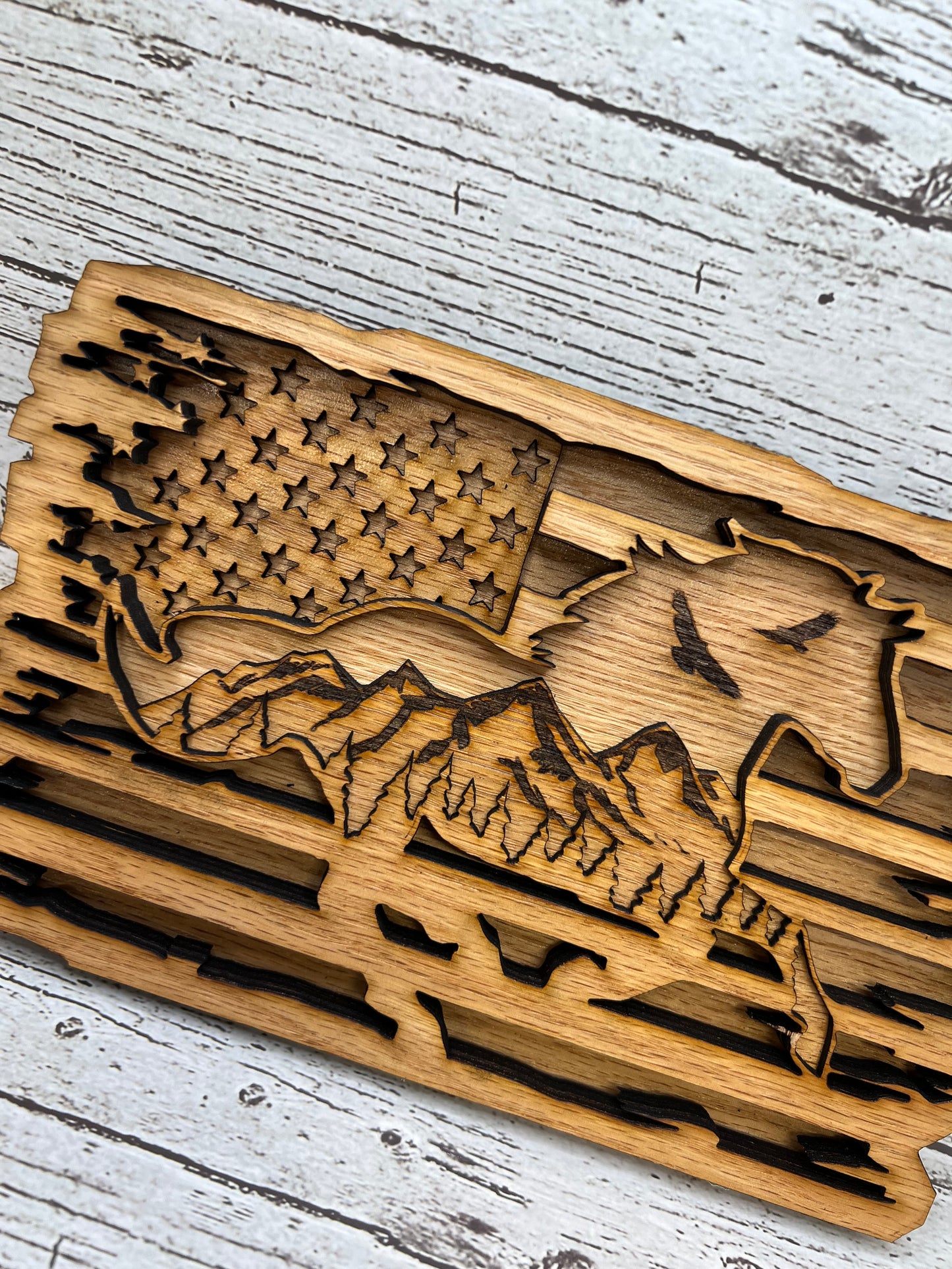 Horse With American Flag